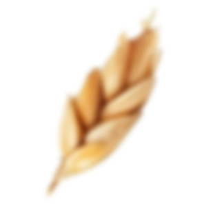Alt Sol Buğday 3