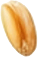 Alt Sol Buğday 5