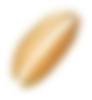 Buğday 2